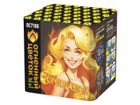 С огоньком! Фейерверк купить в Приморске Калининградской области | primorskkaliningradskaya.salutsklad.ru