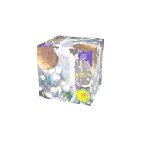 Новогодняя ночь Салют купить в Приморске Калининградской области | primorskkaliningradskaya.salutsklad.ru