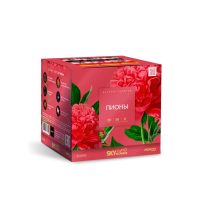 Пионы Салют купить в Приморске Калининградской области | primorskkaliningradskaya.salutsklad.ru