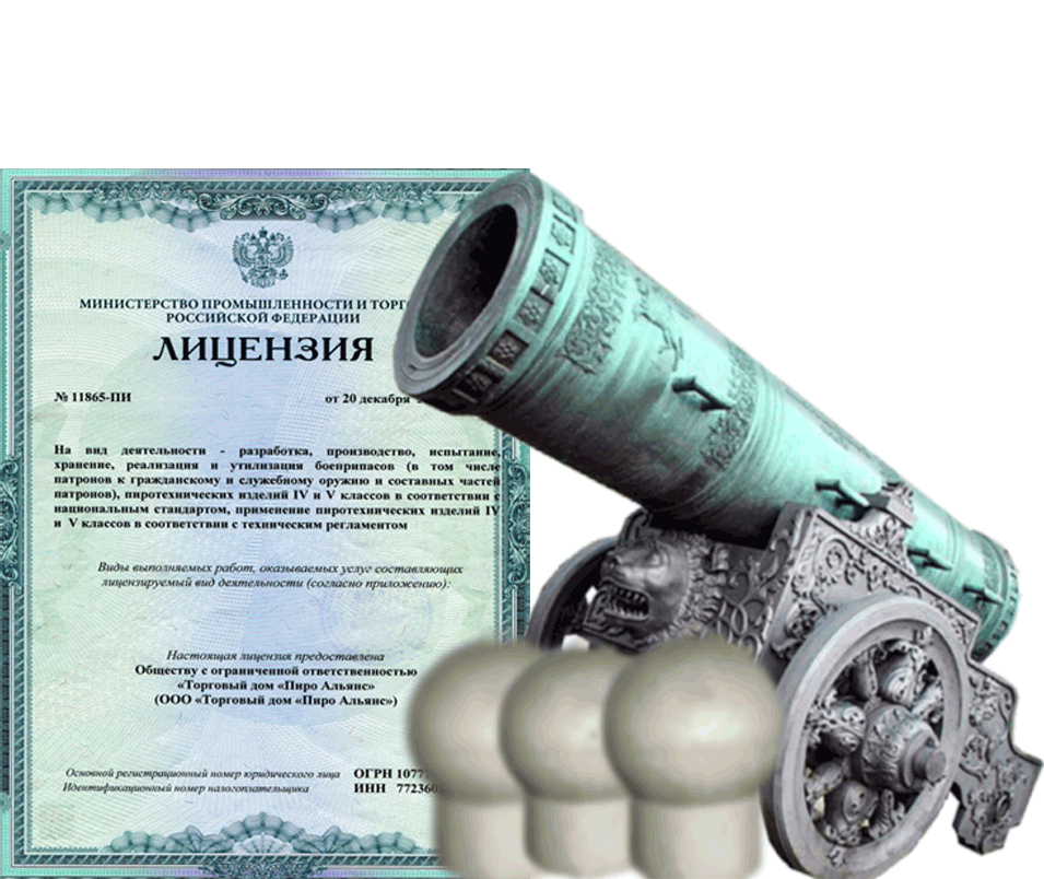 Заказать фейерверк на Новый Год - салют в Приморске Калининградской области