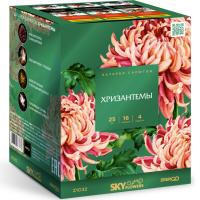 Хризантемы Фейерверк купить в Приморске Калининградской области | primorskkaliningradskaya.salutsklad.ru