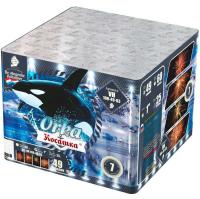 Косатка Фейерверк купить в Приморске Калининградской области | primorskkaliningradskaya.salutsklad.ru