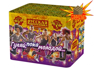 Гуляй, пока молодой... Фейерверк купить в Приморске Калининградской области | primorskkaliningradskaya.salutsklad.ru