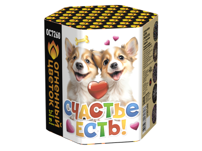 Счастье есть! Салют купить в Приморске Калининградской области | primorskkaliningradskaya.salutsklad.ru