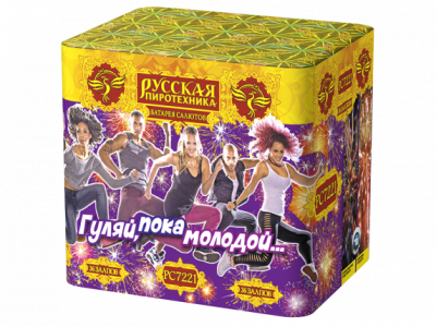 Гуляй, пока молодой Салют купить в Приморске Калининградской области | primorskkaliningradskaya.salutsklad.ru