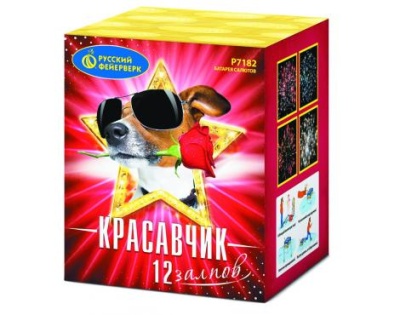 Красавчик Салют купить в Приморске Калининградской области | primorskkaliningradskaya.salutsklad.ru